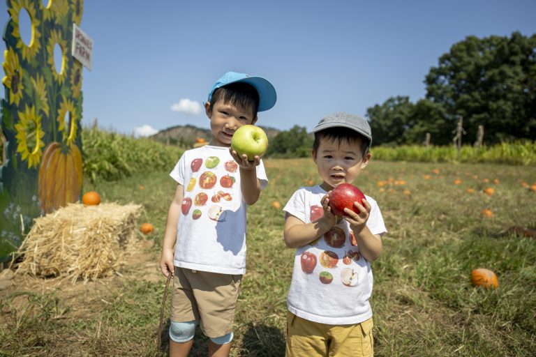 Children picking apples at Dr. Davies Farm